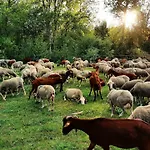 Feriehus Miradoralaribera Rural *