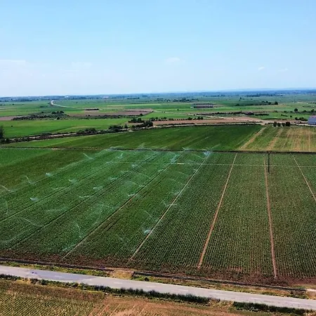Holiday home Miradoralaribera Rural Alcoba de la Ribera