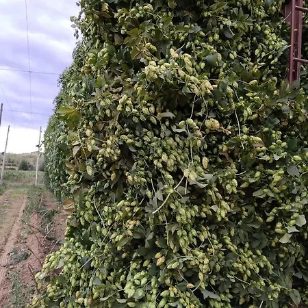 Holiday home Miradoralaribera Rural *