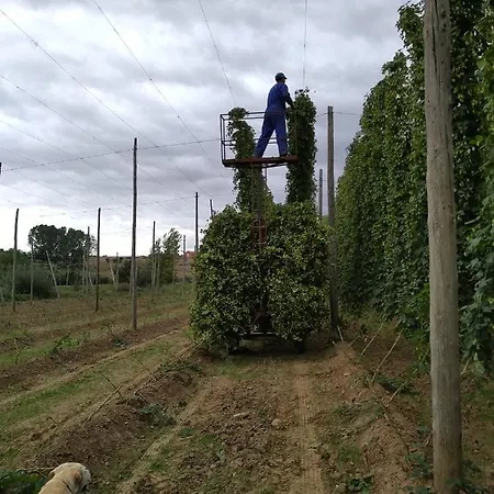 Prázdninový dům Miradoralaribera Rural