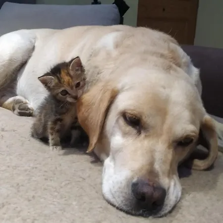 Miradoralaribera Rural