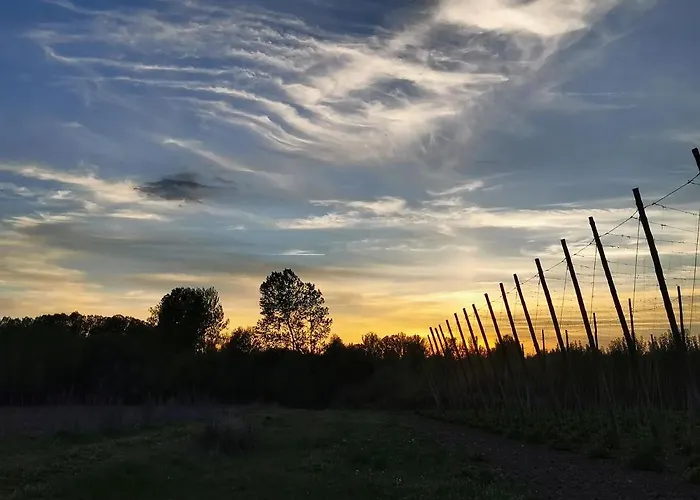 Dom wakacyjny Miradoralaribera Rural *