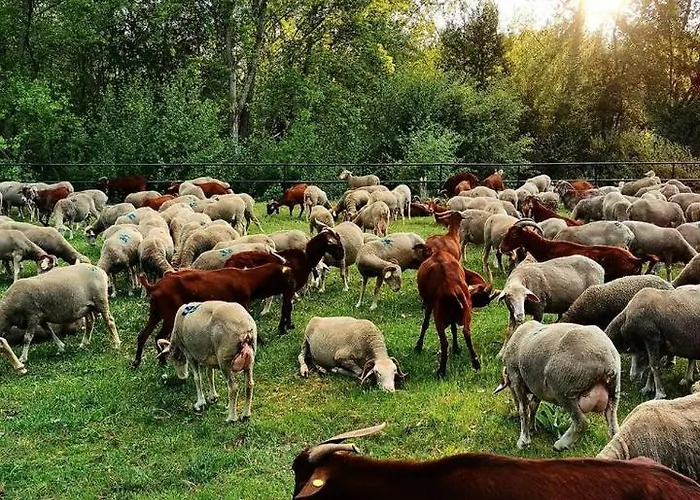 Dom wakacyjny Miradoralaribera Rural *