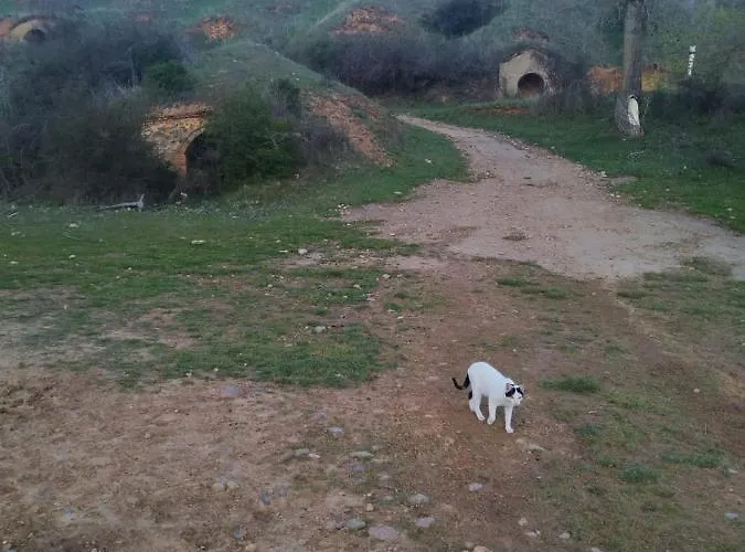 Miradoralaribera Rural