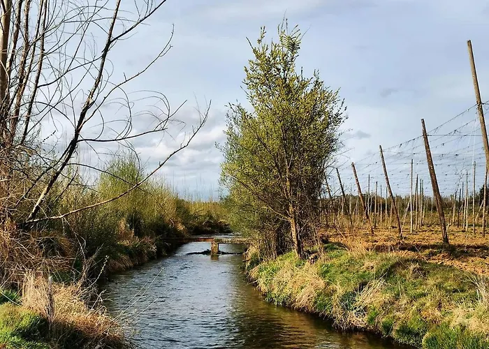 Miradoralaribera Rural Dom wakacyjny *