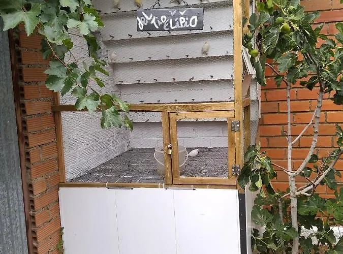 Miradoralaribera Rural Alcoba de la Ribera