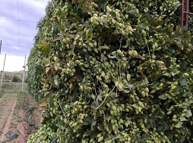 Dom wakacyjny Miradoralaribera Rural *