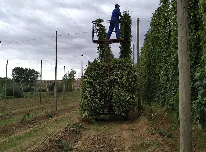 Dom wakacyjny Miradoralaribera Rural